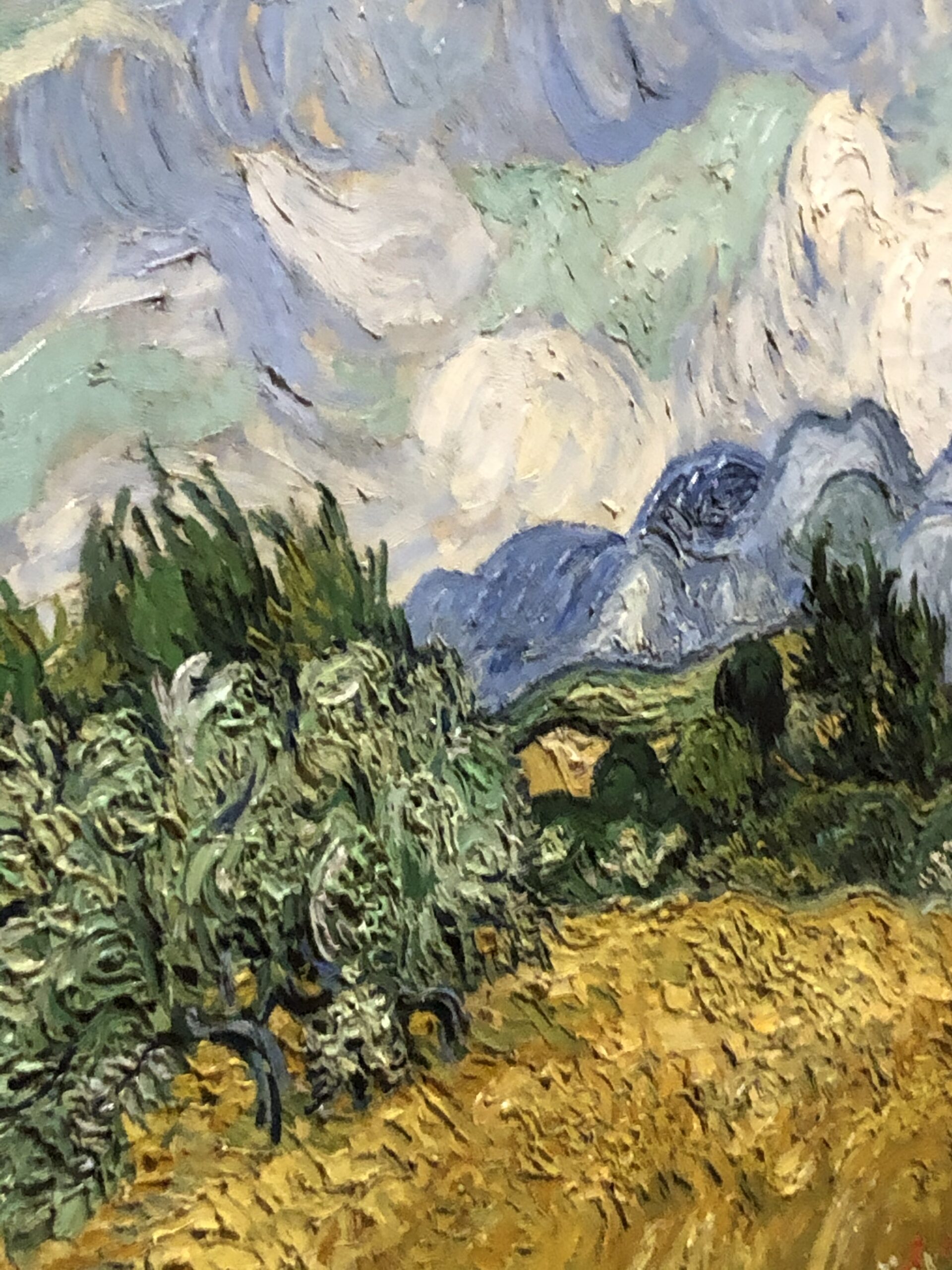 The Feel and Texture of a Van Gogh - The David Snider